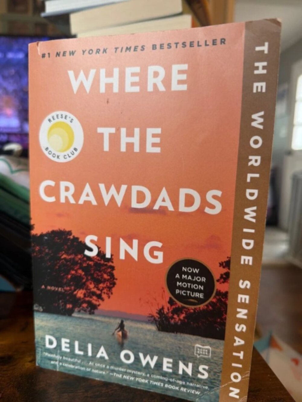 Where the Crawdads Sing By Delia Owens